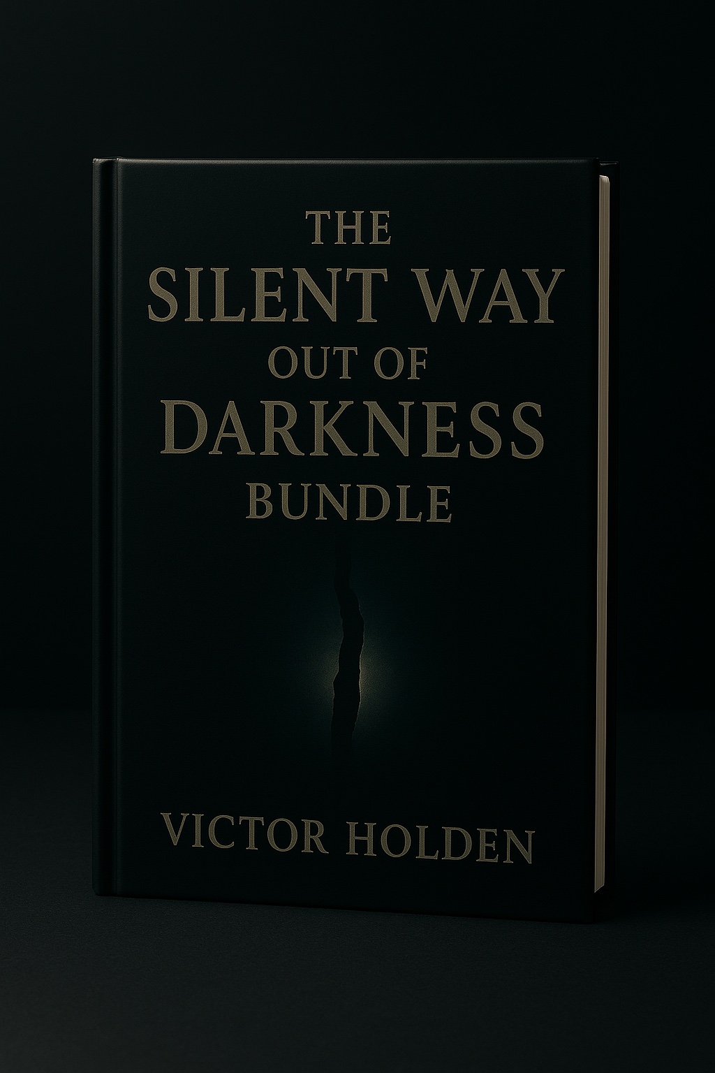 The Silent Way Bundle